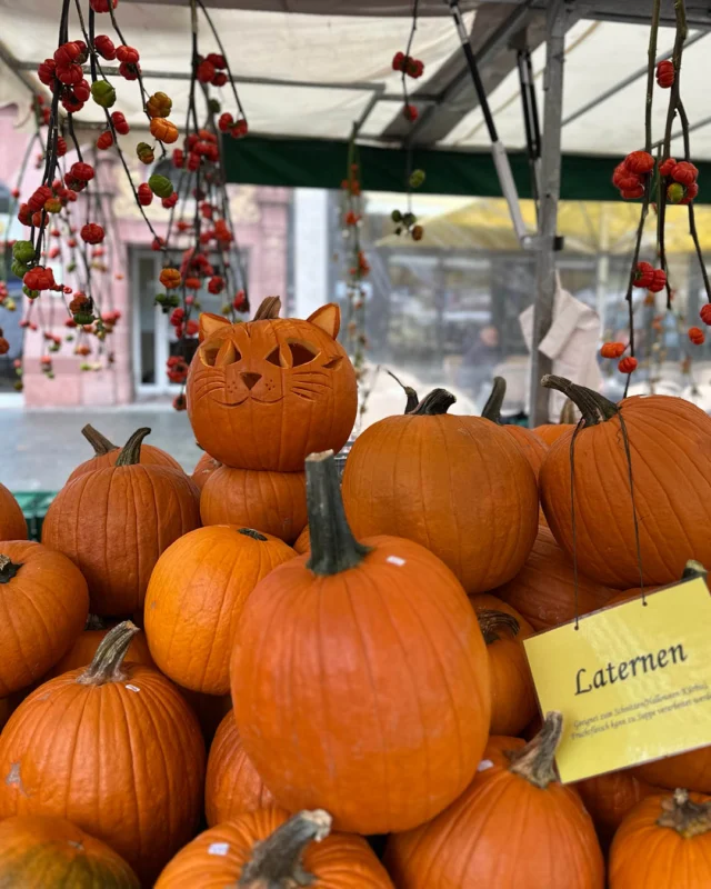 Gemischtes Wetter, geniale Stimmung – und morgen wird’s noch schöner! ☀️🎃

Auch wenn sich das Wetter heute von seiner gemischten Seite gezeigt hat: Die Stimmung in der Innenstadt war super! ☔️

Tolle herbstliche Dekorationen und  viele leckere und kreative Angebote.

Ein riesiges Dankeschön an all unsere Aussteller, Händler, Gastronomen und Partner, die Lörrach heute so lebendig gemacht haben! 🌭🍞🍷🚗🛍️

⏰ Ihr wollt noch mehr oder habt den Samstag verpasst?

☀️ MORGEN (Sonntag) geht’s weiter – und das Wetter spielt auch mit!
🛍️ Verkaufsoffener Sonntag: Von 13:00 bis 18:00 Uhr öffnen die Geschäfte in der Innenstadt für euch.
🎃 Kürbismarkt & Aktionen: Schlendern, Genießen, Entdecken und tolle Herbst-Highlights erleben!

➡️ Swipe, um die ersten Eindrücke vom Herbstfest zu entdecken! 

Kommt vorbei, bummelt durch die Stadt und genießt den Sonntag mit uns! Wir freuen uns auf euch! 🍁